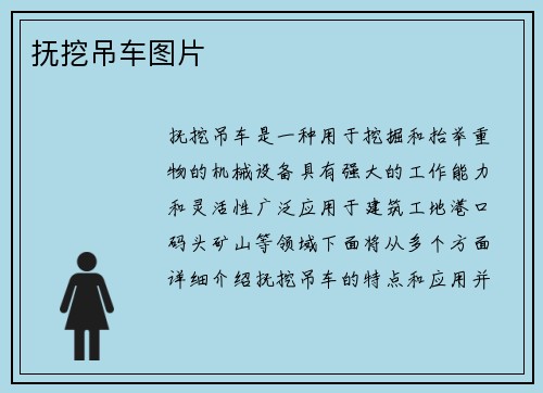 抚挖吊车图片